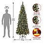 National Tree Company Oakley Hills Artificial Christmas Trees (OAK8-304L-75)~#|#~944B6AA3-10DE-4E78-AC3BFF78250192D6_sc7