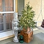 Fraser Hill Farm 4' Real Feel Pre-Lit Artificial Christmas Trees (FFRF048P-5MGR)~#|#~9459D835-A3C1-4D51-999E29E5EFB1360F_sc7