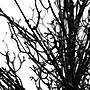 Nearly Natural 3' Pre-Lit Halloween Black Twig Artificial Fall Tree in Burlap Planter with 52 Warm White LED Lights (T4748)~#|#~9461A124-448B-40F4-9E3AC5903FC1A871_sc7
