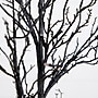 Nearly Natural 4' Pre-Lit Twig Artificial Fall Tree with 81 Lights, Black (T4757)~#|#~947B6C34-8A5B-4715-8B41CFC8E719CF01_sc7