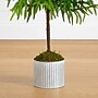 Nearly Natural Artificial Real Touch Norfolk Island Pine in Metal Tin Planter, 3' (T5384)~#|#~947C96E2-127E-4348-84972840A4AB3277_sc7