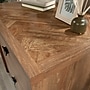 Sauder Cannery Bridge Commercial 2-Drawer Lateral File Cabinet, Letter/Legal Size, 32"W x 22"D, Sindoori Mango (429514)~#|#~94974870-12CD-40A3-902F07906C7A94F3_sc7