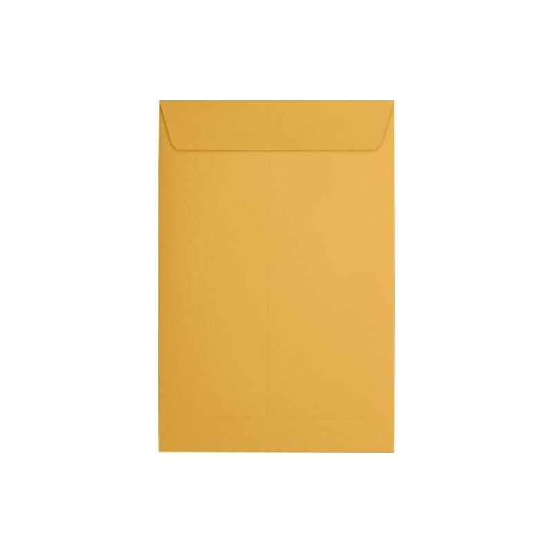 JAM Paper Catalog Envelope 6" x 9", Brown Kraft, 50/Pack (1693-50) image 1