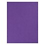Tru-Ray Halloween 9" x 12" Construction Paper, Orange/Black/Purple, 150 Sheets/Pack, 3/Bundle (PAC6688-3)~#|#~94CB3858-97C4-4645-8D043292045D84D6_sc7