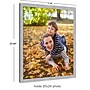 Amanti Art Brushed Nickel Narrow 20" x 24" Polystyrene Picture Frame, Gray (A42677345584)~#|#~94CF5687-B9D7-4454-B4667C21189531C8_sc7