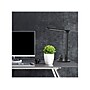 Viribright LED Desk Lamp, 17", Flat Black (850070)~#|#~94D5152A-8110-48BA-8E8346E231DFB049_sc7