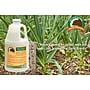 Just Scentsational by Bare Ground Garlic Scentry Repellent for Multiple Pests, Concentrate, Garlic Scent, 64 oz. (GCS-64)~#|#~94D7AD60-8C14-4E83-A045C9C8697B98F4_sc7