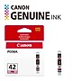 Canon 42 Photo Magenta Standard Yield Ink Cartridge (6389B002)~#|#~94EB3703-8FF7-42D0-81CFDD211B73E4CB_sc7