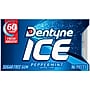 Dentyne Ice Sugar Free Peppermint Gum, 16 Pieces/Pack, 9 Packs/Box (VAM05111)~#|#~94F24929-9B7C-4AA9-9A6D608F3B0601A9_sc7