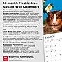 2026 BrownTrout Guinea Pigs 12" x 12" Monthly Wall Calendar (9798330703579)~#|#~94F2E3B5-BD54-40EF-B7EC5862CAAB8C24_sc7