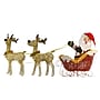 National Tree Company Santa and Reindeer Assortment with LED Lights (DF-2114225001L)~#|#~951447FB-A845-4693-BA55578AC14D608E_sc7
