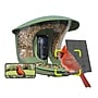 Birdfy Feeder 2 Pro with Dual-Lens Camera, Solar Panel and Free AI Lifetime Subscription, Green (EPPAMBNI8612100)~#|#~953D1D1F-2E53-439A-BD9ED4D0B3C11A12_sc7