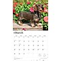 2026 BrownTrout For the Love of Dachshunds 14" x 12" Monthly Wall Calendar (9798330707140)~#|#~954775C8-D23A-4316-96ED4B46D4942E8B_sc7