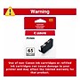 Canon 65 GY Gray Standard Yield Ink Cartridge (4219C002)~#|#~95604D6E-122B-4384-9D943975F75115EF_sc7