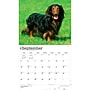 2027 BrownTrout For the Love of Dachshunds 14" x 12" Monthly Wall Calendar, Assorted Colors (9798330709243)~#|#~956C5464-ADCE-4143-94FDA07E775EE7D0_sc7