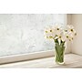 Artscape Lily Window Film, 24" x 36" (02-3752)~#|#~958491E1-C744-4818-A7B307C6ED8F7D91_sc7