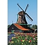 S&S 24-Piece Thera Jigsaw Foam Puzzle, 4 Puzzles/Set (19211)~#|#~95A0434A-29AB-49AC-99362E7D699DB6F7_sc7