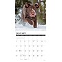 2026 Willow Creek Labs 12" x 12" Monthly Wall Calendar (51733)~#|#~95A397AE-7373-4F68-A12E2FB5C6AA33C2_sc7