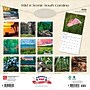 2026 BrownTrout South Carolina Wild & Scenic 12" x 12" Monthly Wall Calendar (9798330705658)~#|#~95B36AB2-8A2E-4F57-B927F3BB42A36672_sc7