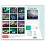2027 BrownTrout Canadian Geographic Northern Lights 14" x 12" Monthly Wall Calendar, Assorted Colors (9781525617607)~#|#~95B41830-8CEA-4CFC-A722E487C7D39A5F_sc7