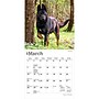 2027 BrownTrout German Shepherds 7" x 7" Monthly Wall Calendar, Assorted Colors (9798330710003)~#|#~95C4986F-D45A-4A53-B5D649644F63885C_sc7