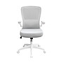 Boss Flip Arm Ergonomic Mesh/Fabric Swivel Task Chair, Gray/White (B6366WT-GY)~#|#~95CB3E8B-E5AE-414D-812B2A7CA101F1F9_sc7