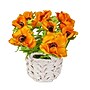 National Tree Company 10" Orange Anemone Flower Bouquet in White Basket (MT81-01626GOR-1)~#|#~95D75ED7-B90C-4172-856EC6D9A784645F_sc7