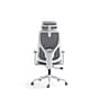 Raynor Group Torque Ergonomic Fabric/Mesh Swivel Manager Chair, Grey/White (TORQUE-WF-GRY )~#|#~95E269CC-8981-4712-92F29F8C0270460C_sc7