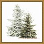 Amanti Art Vintage Wooded Holiday Trees in Snow by Katie Pertiet Framed Canvas Wall Art Print, 16" x 16" (A42675339742)~#|#~95E7183A-7ADB-4745-856D0AF39F57F56B_sc7