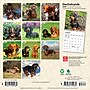 2027 BrownTrout Dachshunds 7" x 7" Monthly Wall Calendar, Assorted Colors (9798330709984)~#|#~95FF6B06-145D-4C57-AECA4D1C487BBC5E_sc7