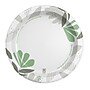 Dixie Ultra Pathways 10" Paper Plates, Multicolor, 125/Pack (SXP10PATH)~#|#~96059F87-AADF-41FD-BF55F52A875F6BA1_sc7