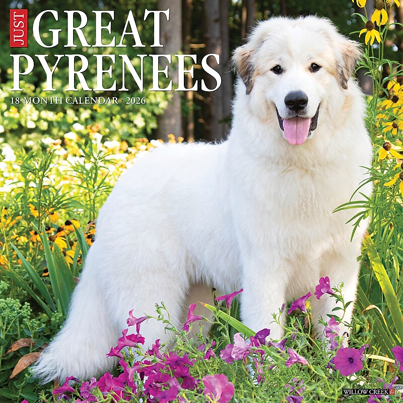 2026 Willow Creek Great Pyrenees 12" x 12" Monthly Wall Calendar (51375) image 1