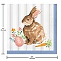 Creative Converting Cottage Easter Bunny Paper Plates and Napkins Kit, Serves 16 (DTC9199E2G)~#|#~964B4290-70D5-440A-B0C143D50A1BB36D_sc7
