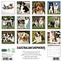 2026 Willow Creek Australian Shepherds 12" x 12" Monthly Wall Calendar (49983)~#|#~965BE417-65CD-43D4-ADCB32C9BF1A594C_sc7
