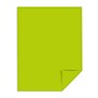 Astrobrights 24 lb. Cardstock Paper, 8.5" x 11", Terra Green, 500 Sheets/Ream (22581)~#|#~966F640E-2B4C-410D-807C686DF36B5812_sc7