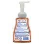 Dial Professional Antibacterial Defense Foaming Hand Soap with Aloe, Original Scent, 11 oz. (1700035446)~#|#~967430EA-C41D-46C3-9F9DD1DEF543CC44_sc7