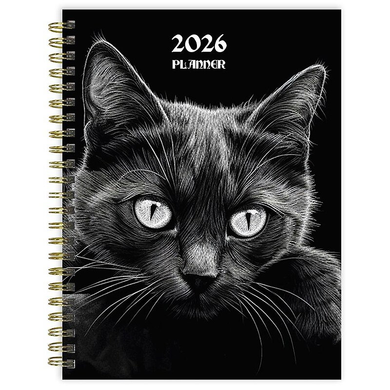 2026 TF Publishing Pretty Kitty 6.5" x 8" Weekly & Monthly, Paperboard Cover, Multicolored (26-9212) image 1