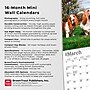 2026 BrownTrout Basset Hounds 7" x 7" Monthly Wall Calendar (9798330702312)~#|#~969E7552-7D26-4E01-B1839CAA397A7C29_sc7