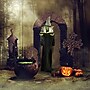 Haunted Hill Farm Life-Size Poseable Witch with Spell Book (HHWITCH-9FLS)~#|#~96A285FD-A98F-4EE2-9FE34B8C792E9829_sc7