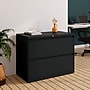 Staples Commercial 2-Drawer Lateral File Cabinet, Letter/Legal Size, Lockable, 28.11"H x 36"W x 18.62"D, Black (60922/17451)~#|#~96A34B16-2BCB-46C7-9E75E01AB760E639_sc7