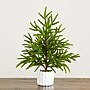 Nearly Natural Artificial Real Touch Norfolk Island Pine in White Decorative Planter, 22" (T5383)~#|#~96B42E0C-C23B-4B18-8A74D3505CA828F9_sc7