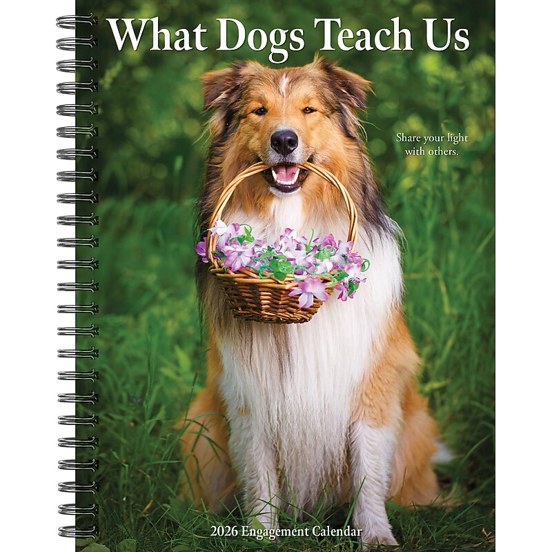 2026 Willow Creek What Dogs Teach Us 6.5" x 8.5" Daily & Monthly Personal Organizer (54673) image 1