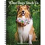 2026 Willow Creek What Dogs Teach Us 6.5" x 8.5" Daily & Monthly Personal Organizer (54673)~#|#~96BED57B-A79A-449C-A9248B346B7F7A5D_sc7