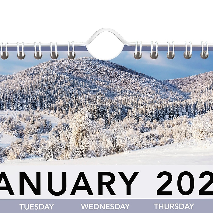 2026 AT-A-GLANCE Landscape 12