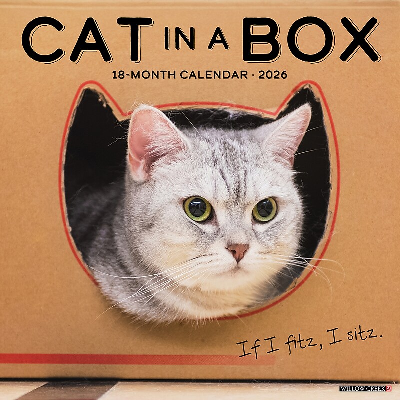 2026 Willow Creek Cat in a Box 12" x 12" Monthly Wall Calendar (50576) image 1