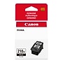 Canon PG-210 XL Black High Yield Ink Cartridge (2973B001)~#|#~96DD674F-E3D7-4029-8F63EE8E9170E4C8_sc7