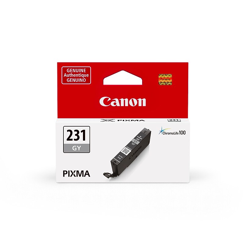 Canon Genuine CLI-231GY Gray Standard Yield Ink Cartridge (6678C001) image 1