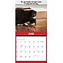 2027 Willow Creek Cattitudes 12" x 12" Monthly Wall Calendar, Assorted Colors (59609)~#|#~96FB1C67-EEC4-4E9C-B03EB1017BDAA13F_sc7