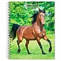 2027 BrownTrout Horse Lovers 6.5" x 7.8" Calendar Year Weekly Standard Planner, Multicolor (9798330709458)~#|#~9700ED00-6B3A-49F0-978D79DB5A5B3F19_sc7