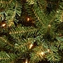 National Tree Company Aspen Spruce Artificial Christmas Trees (AP7-300-60)~#|#~97098E0B-4BB7-4BDB-B12D43B85F95C6D3_sc7